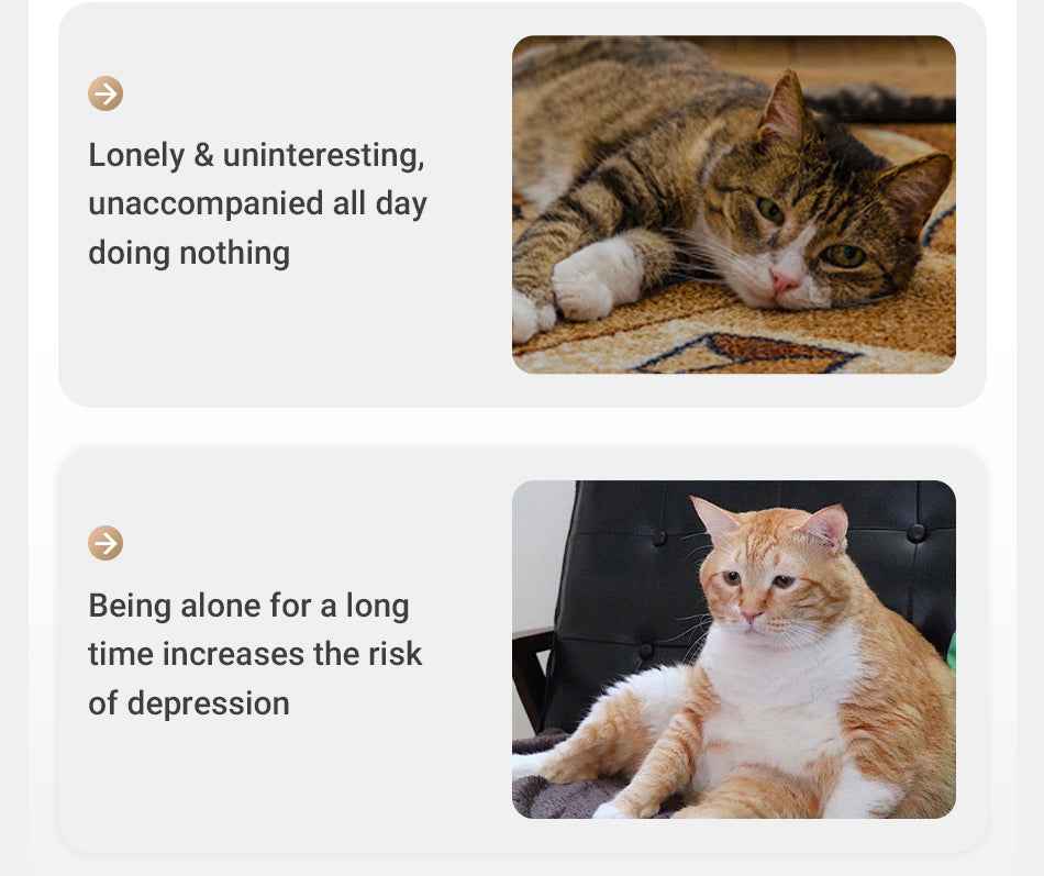 ROJECO Automatic Laser Cat Toy