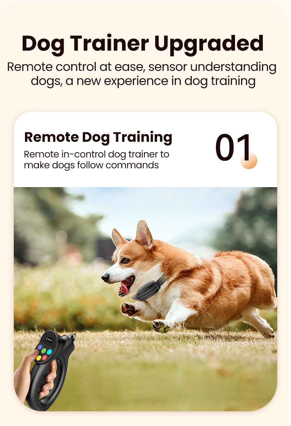 ROJECO PD800 Dog Training Collar