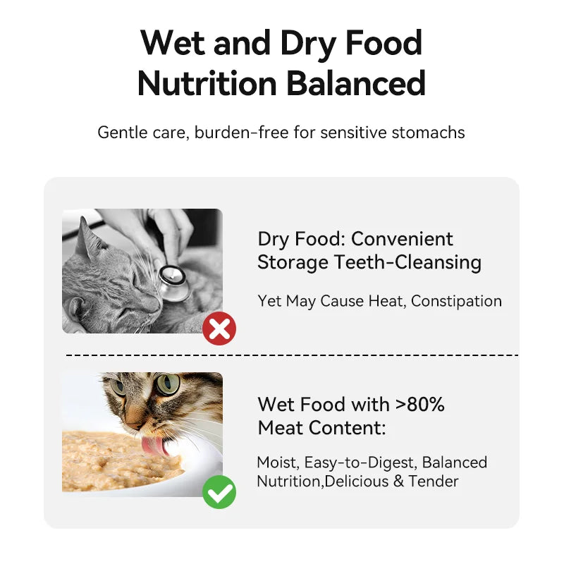 ROJECO 4-Meal Automatic Pet Feeder