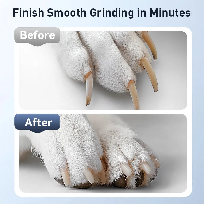 ROJECO Diamond Bit Grinder