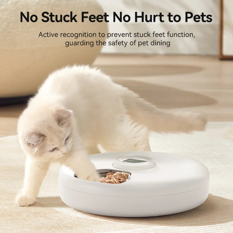 ROJECO Automatic Pet Feeder for Wet & Dry Food