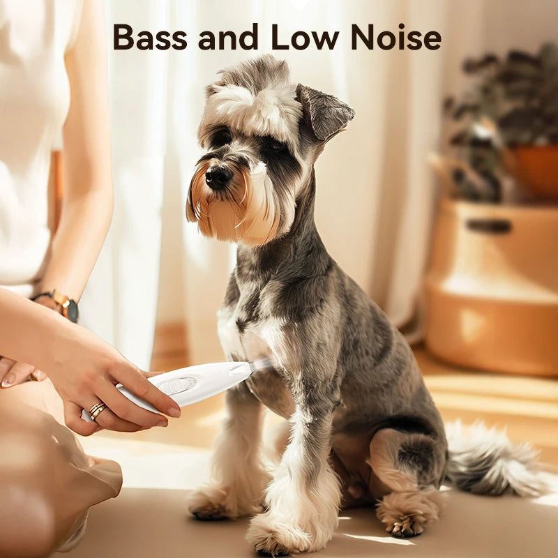 ROJECO Pet Electric Clipper with LED Light