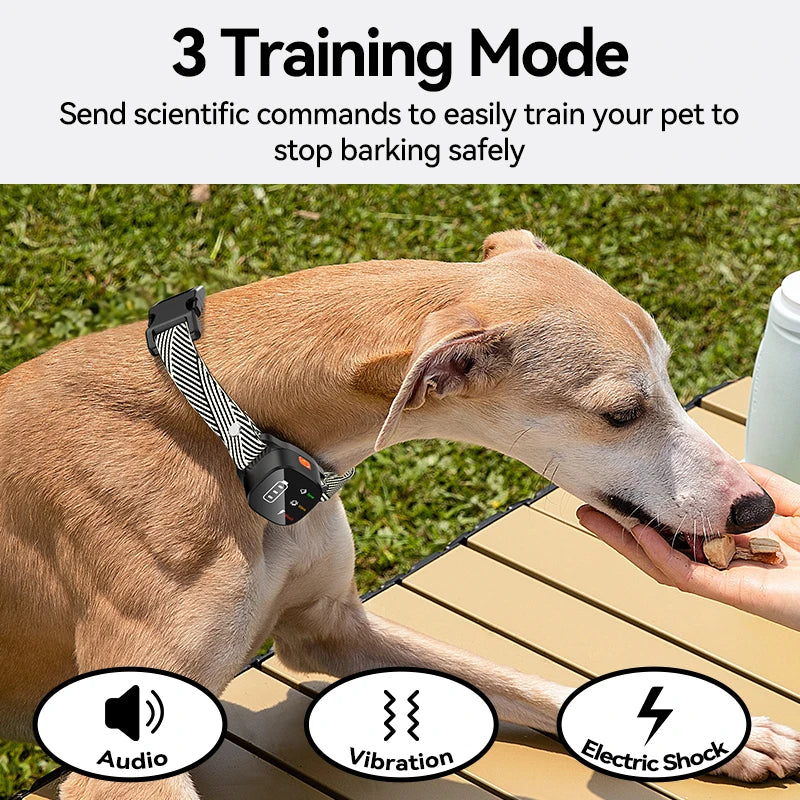 ROJECO Automatic Anti-Bark Collar