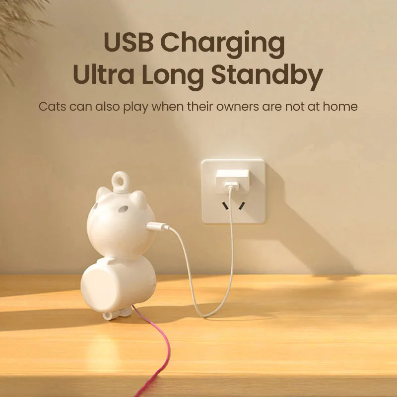 ROJECO 2-in-1 Automatic Cat Toy