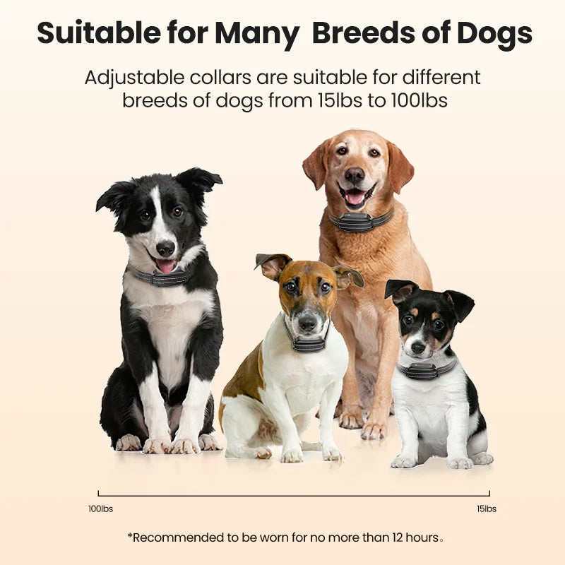 ROJECO Rechargeable Dog Training Collar