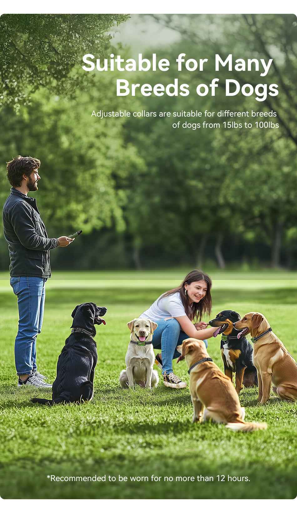 ROJECO RXGQ-04 Dog Training Collar