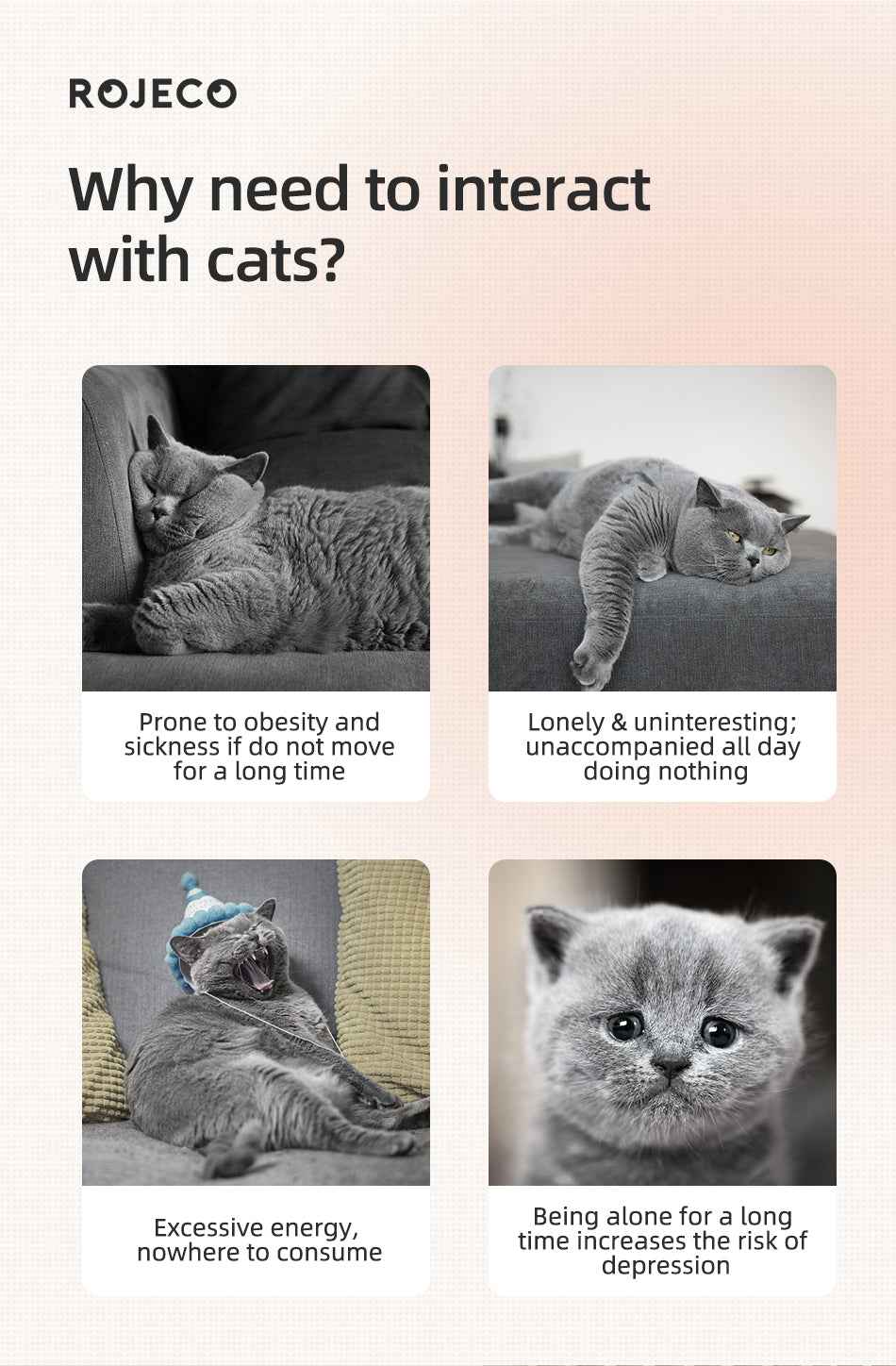 ROJECO Rechargeable Laser Cat Toy