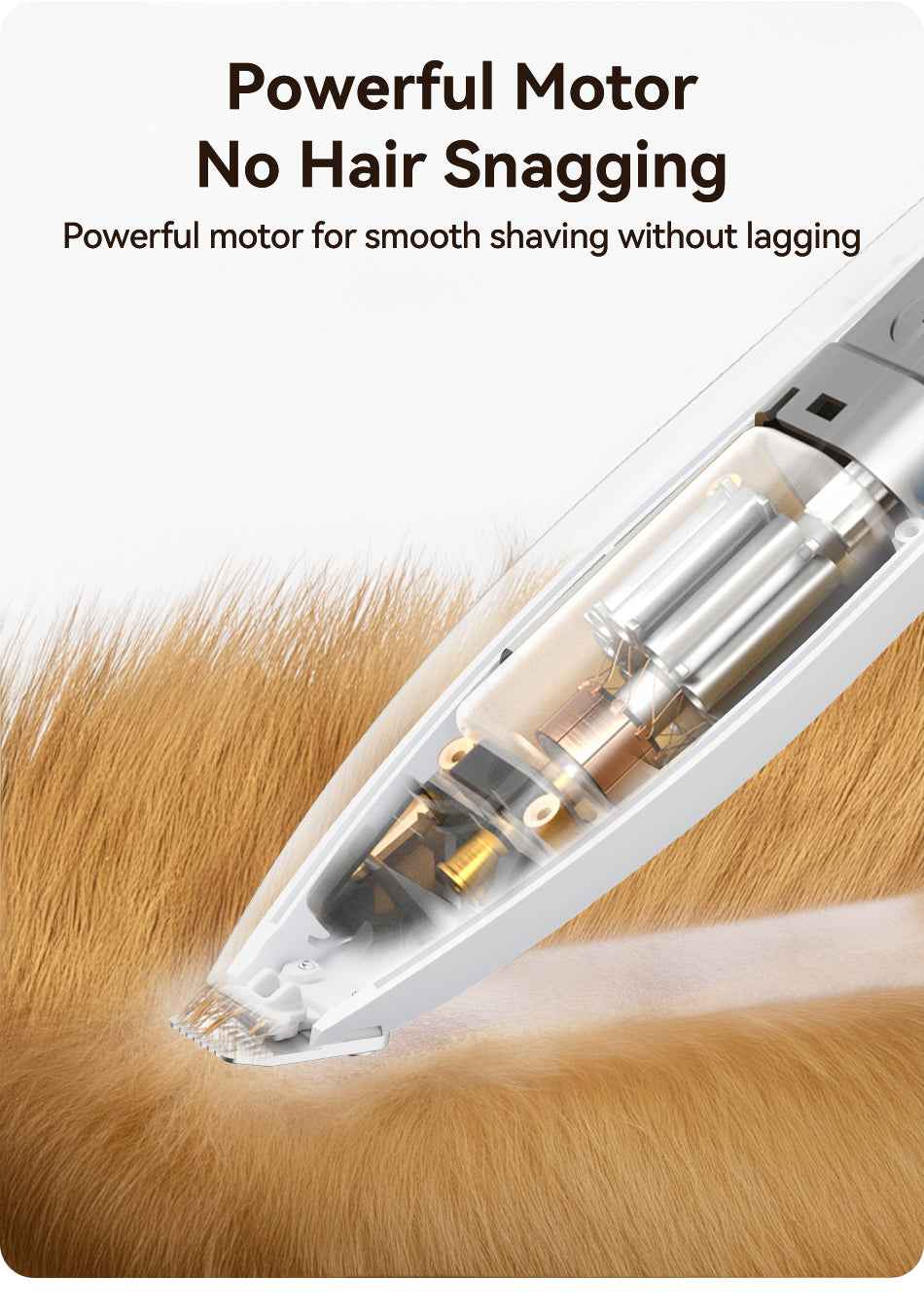 ROJECO T50 Pet Electric Clipper