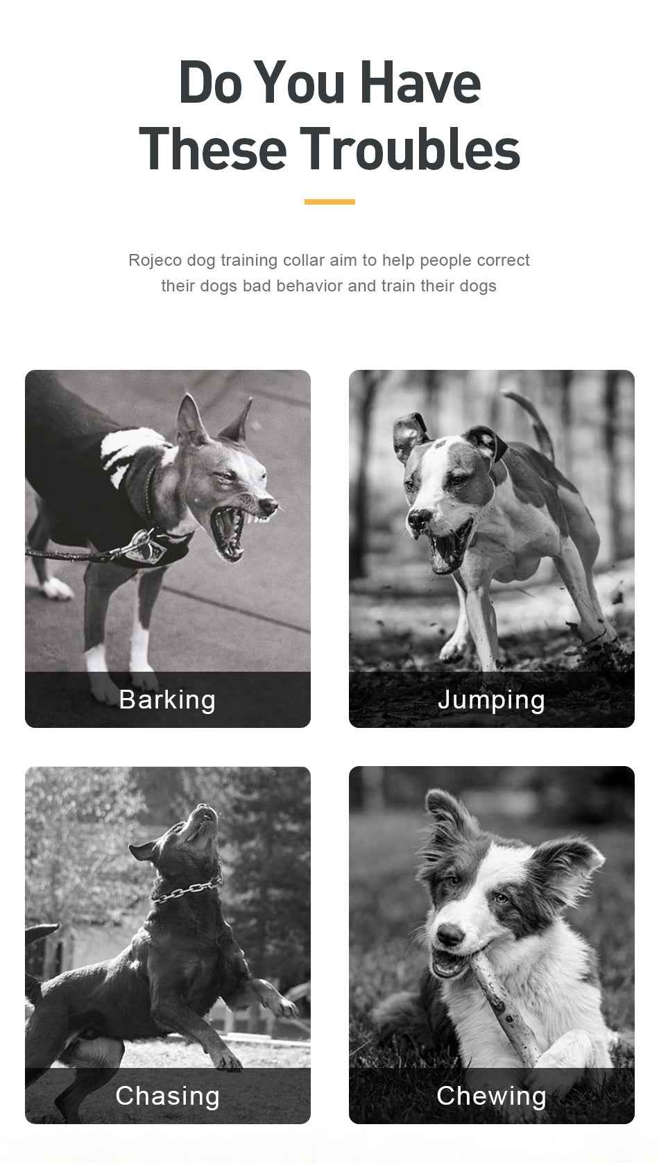 ROJECO PD529 1000m Dog Training Collar