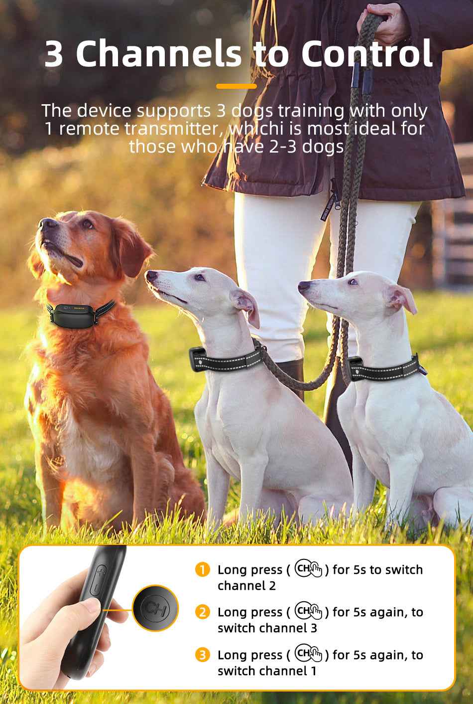 ROJECO 1000m PD521 Dog Training Collar