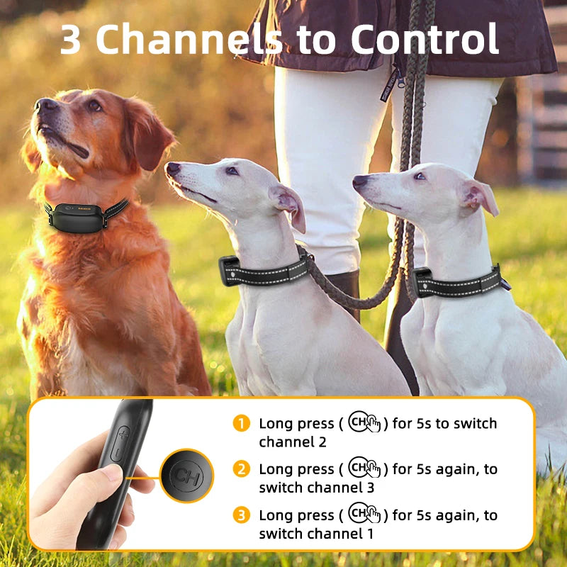 ROJECO Digital Dog Training Collar